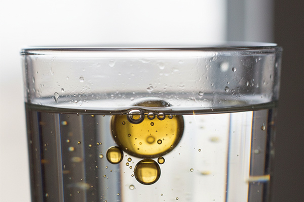 Bioverfügbarkeit Quercetin