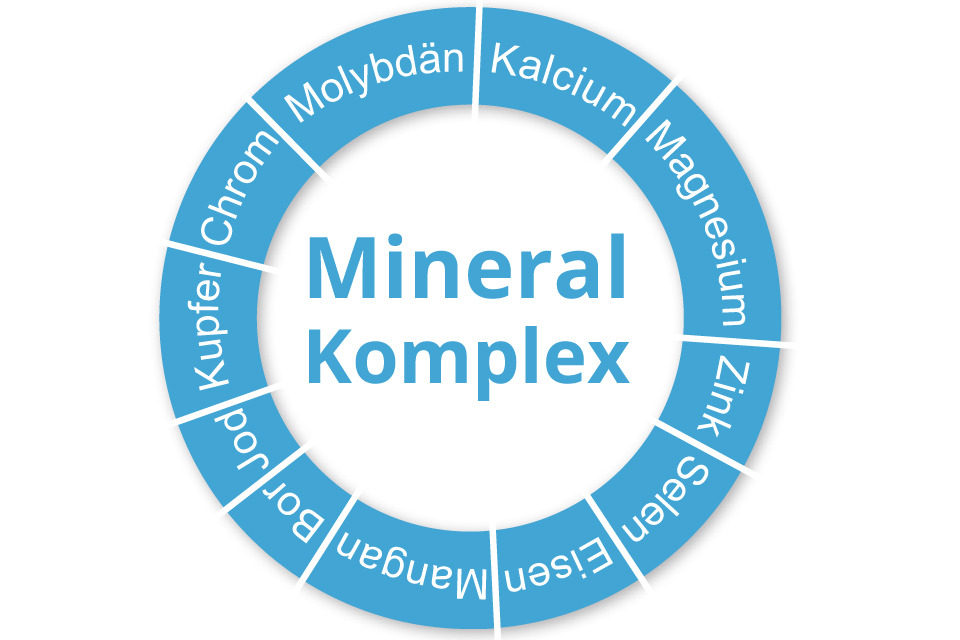 WOSCHA Mineral Komplex