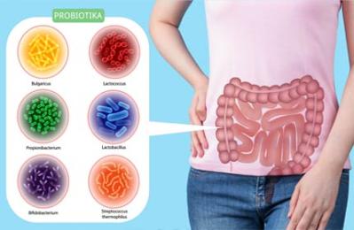 Probiotika-Lexikon: Bakterienstämme und ihre Gesundheitsvorteile
