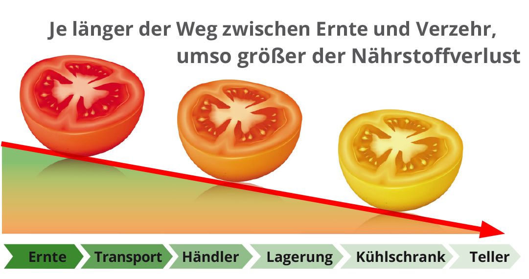Nährstoffverlust durch Transport