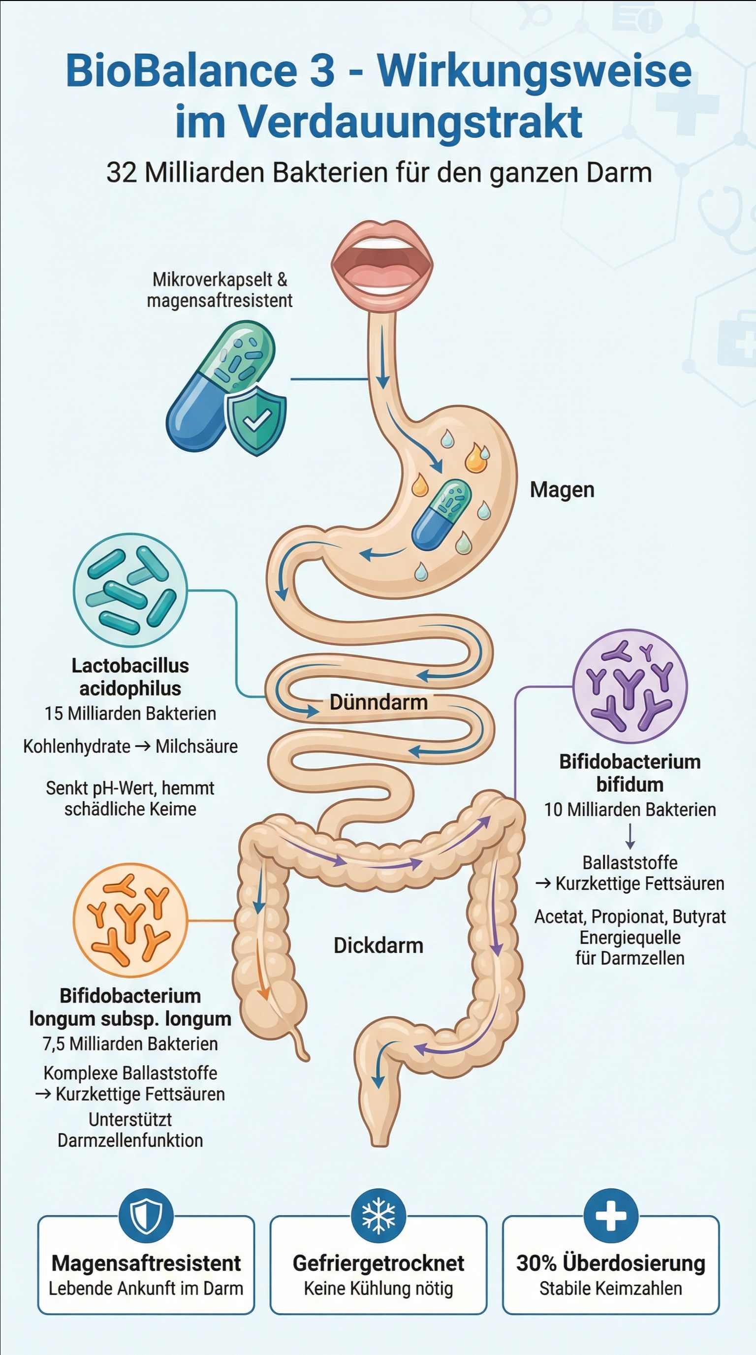BioBalance_3