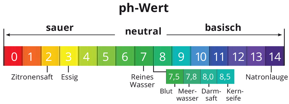 ph-Werte Skala von sauer bis basisch