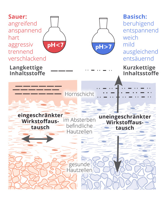 Wirkstoffaustausch durch basische Pflege