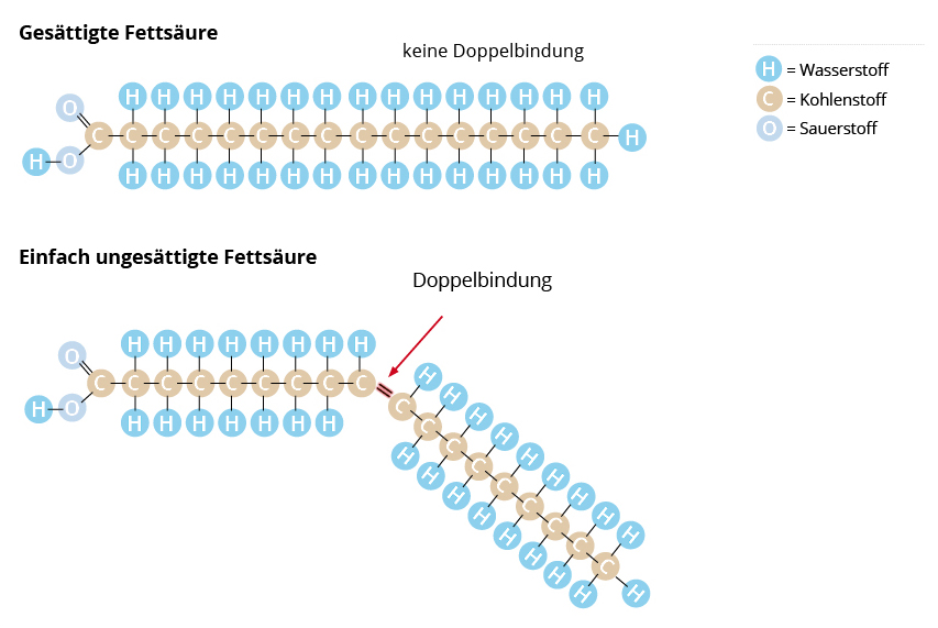 Gesättigte und ungesättigte Fettsäuren